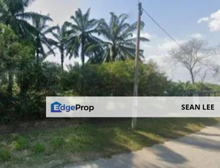 🏡 Batu Pahat Agriculture Land for Sale 峇株巴辖农业地出售, Johor, Batu Pahat