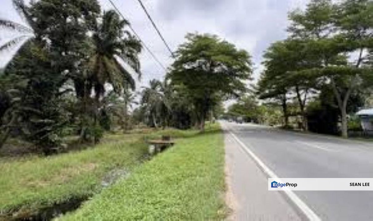 🏞️ Batu Pahat Agriculture Land For Sale 峇株巴辖农业地出售, Johor, Batu Pahat