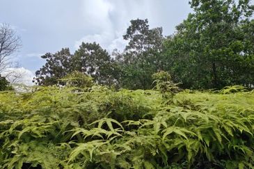 Senai Industrial Park