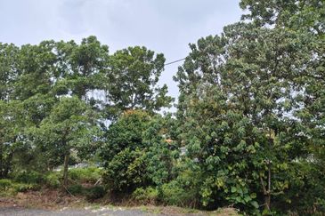 Senai Industrial Park