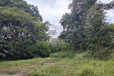 Senai Industrial Park