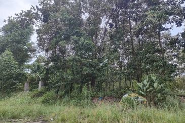 Senai Industrial Park