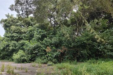 Senai Industrial Park