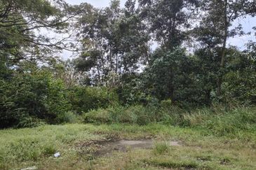 Senai Industrial Park