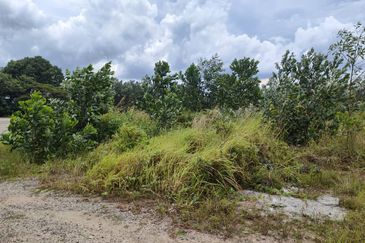 Senai Industrial Park