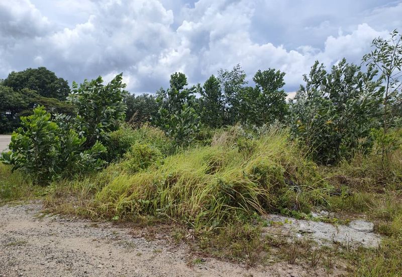 Senai Industrial Park