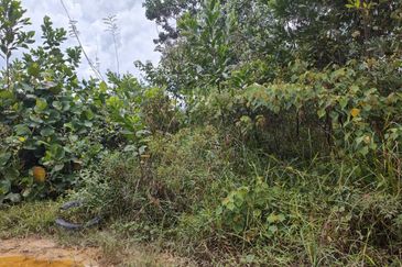 Senai Industrial Park