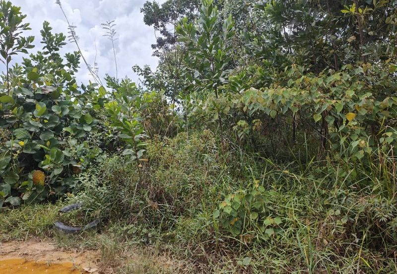 Senai Industrial Park