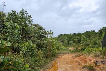 Senai Industrial Park