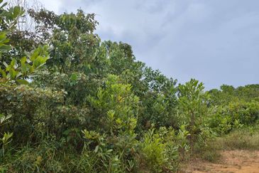 Senai Industrial Park