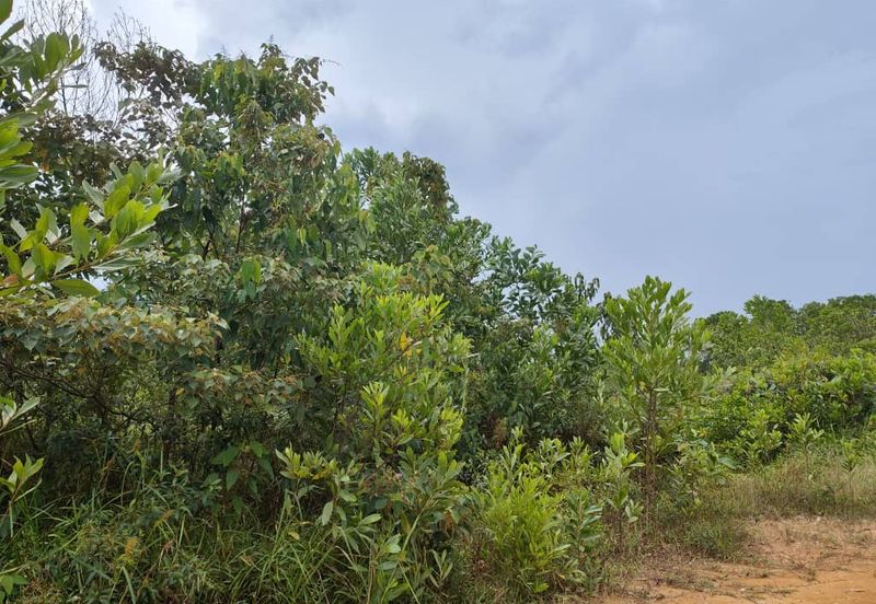 Senai Industrial Park