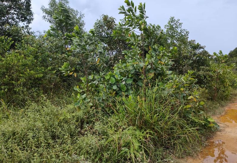 Senai Industrial Park