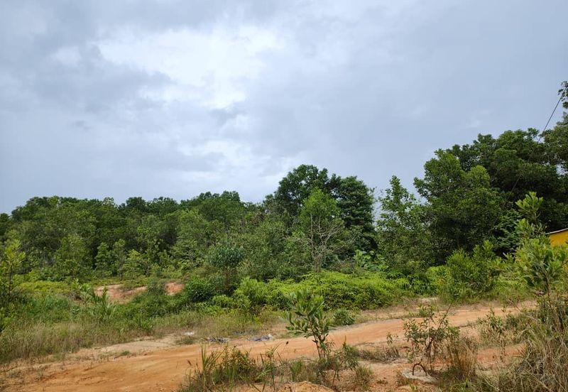 Senai Industrial Park