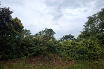 Senai Industrial Park