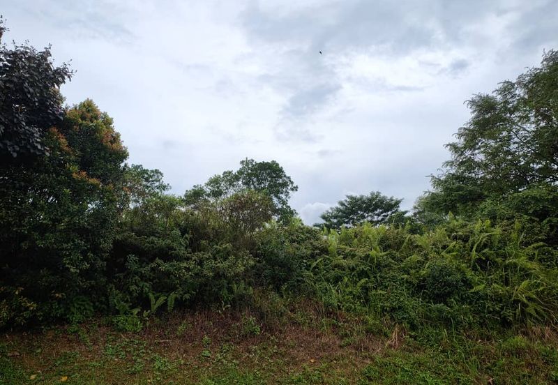 Senai Industrial Park