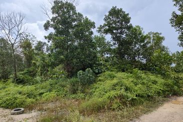 Senai Industrial Park