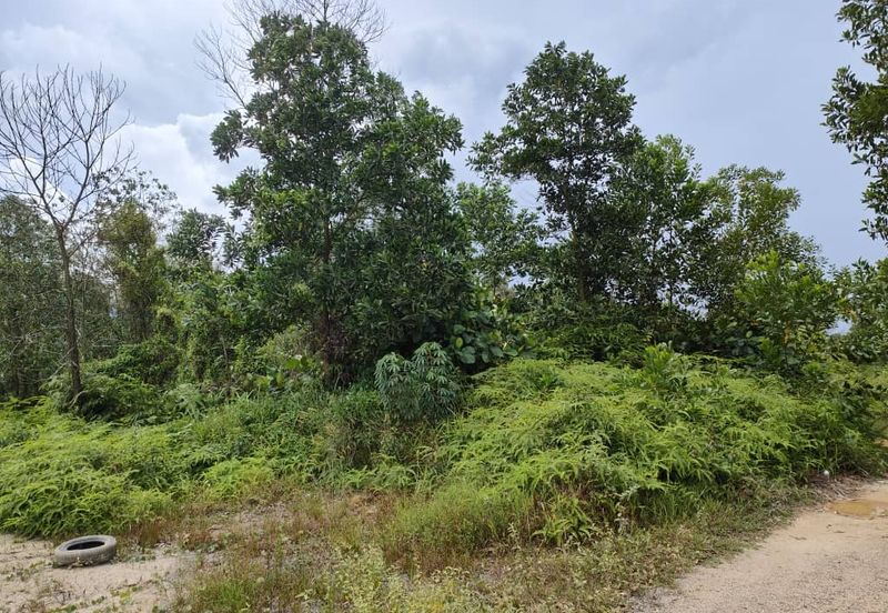 Senai Industrial Park