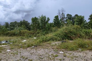 Senai Industrial Park