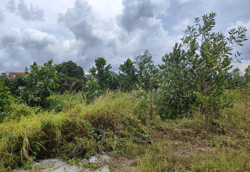 Senai Industrial Park