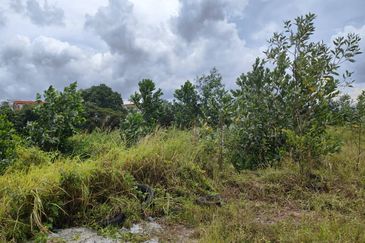 Senai Industrial Park