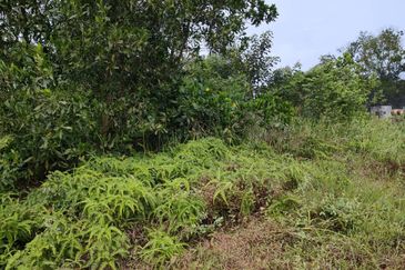 Senai Industrial Park