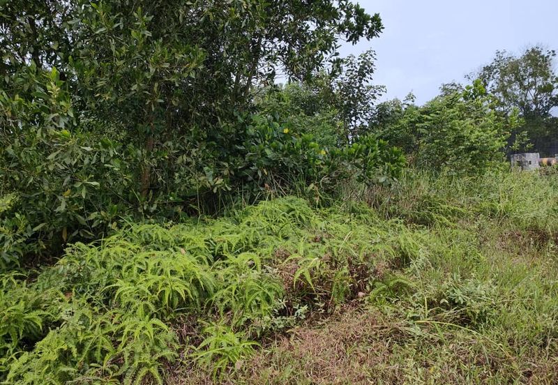 Senai Industrial Park