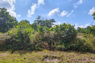 Kempas Lama Residential Land for Sale 甘拔士住宅发展土地皮出售