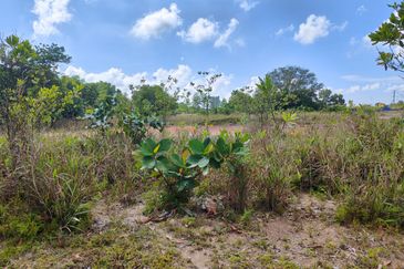 Kempas Lama Residential Land for Sale 甘拔士住宅发展土地皮出售