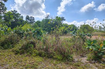 Kempas Lama Residential Land for Sale 甘拔士住宅发展土地皮出售