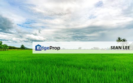 Mersing Paddy Agricultural Land For Sale 丰盛港稻田农业地出售, Johor, Mersing