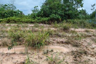 Tanjung Kupang Industrial Land For Sale 优质工业地出售