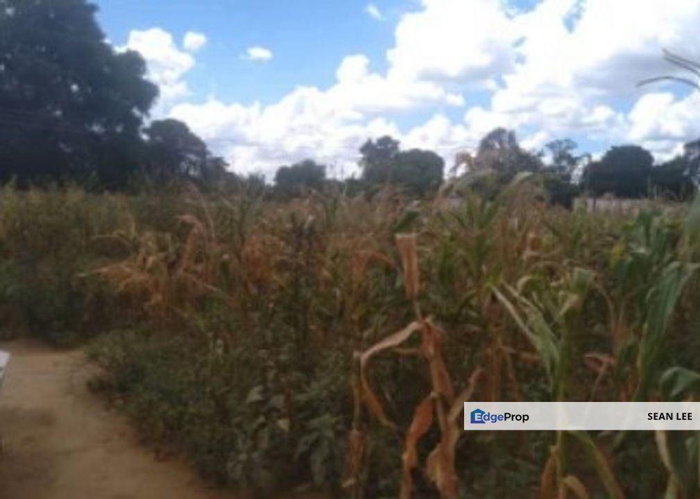 Ulu Tiram Agricultural Land For Sale 乌鲁地南农业地出售, Johor, Johor Bahru