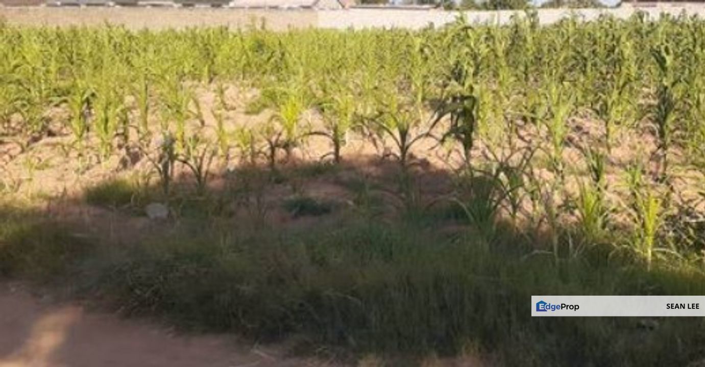 Ulu Tiram Agricultural Land For Sale 乌鲁地南农业地出售, Johor, Johor Bahru