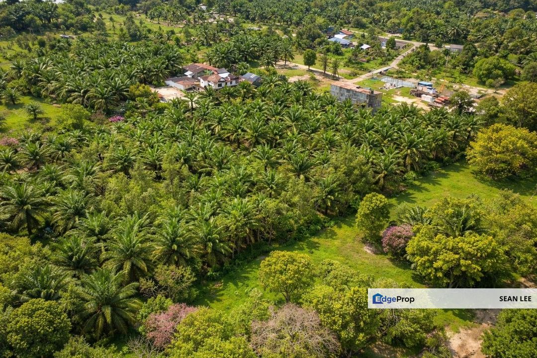 Ulu Tiram Agricultural Land For Sale 乌鲁地南农业地出售, Johor, Johor Bahru