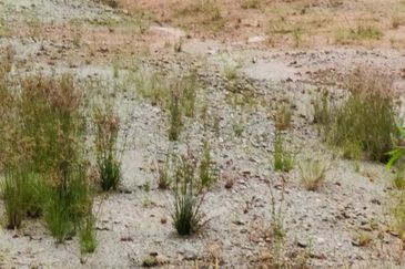 Kawasan Perindustrian Seelong