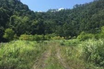 Gelang Patah @ Ulu Pulai zoning industry land 