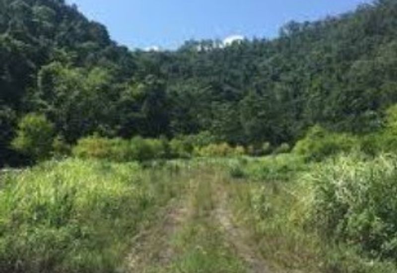 Gelang Patah @ Ulu Pulai zoning industry land 