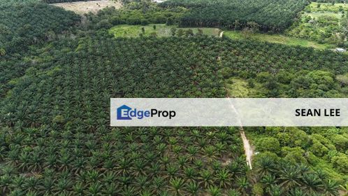 Kulai Johor Bahru Agricultural land for Sale, Johor, Kulai