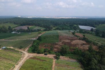 Port of Tanjung Pelepas