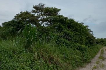 Taman Desa Cemerlang