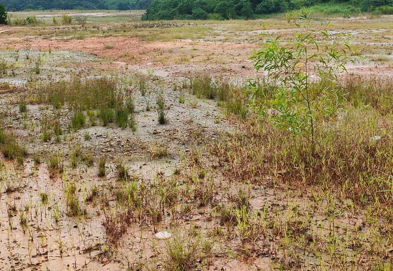 Mersing Sea Side Resort Land for SALE   