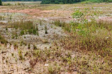 Mersing Sea Side Resort Land for SALE   