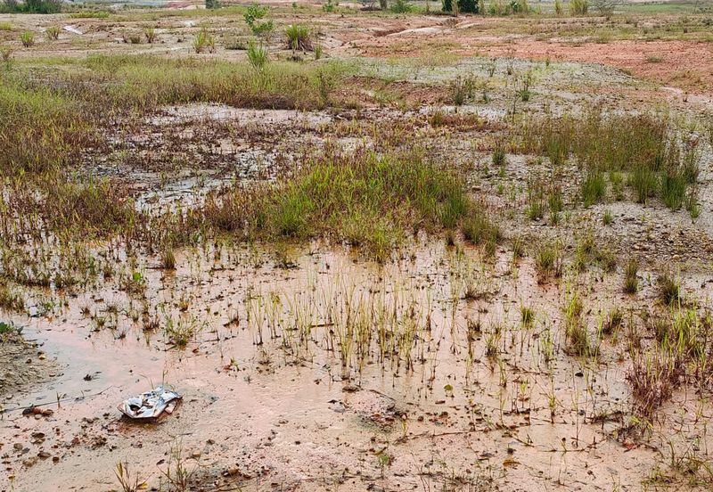 Mersing Sea Side Resort Land for SALE   