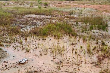 Mersing Sea Side Resort Land for SALE   