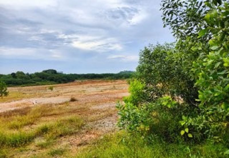 Mersing Sea Side  Agriculture Land for SALE 