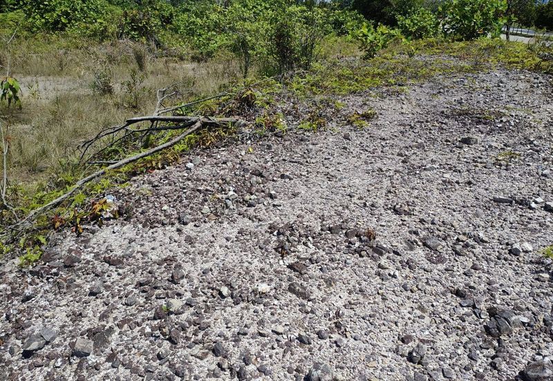 Taman Perindustrian Senai