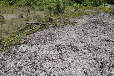 Taman Perindustrian Senai