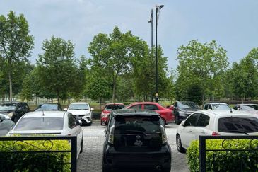 Eco Palladium @ Eco Spring