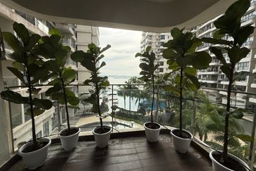 Bay Laurel @ Country Garden Danga Bay