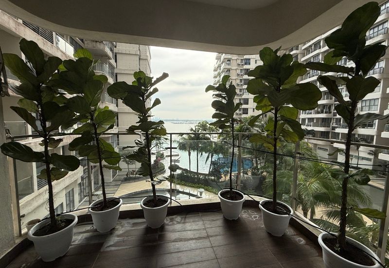 Bay Laurel @ Country Garden Danga Bay